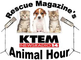 KTEM Animal Hour Sundays At Eleven